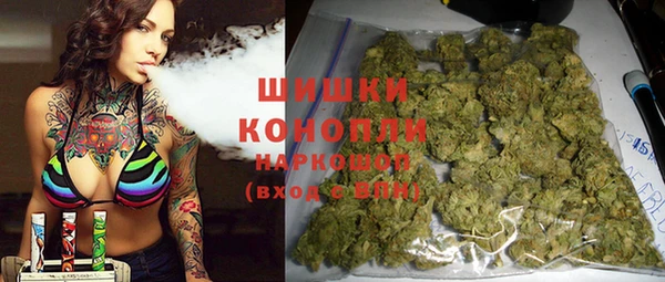 ПСИЛОЦИБИНОВЫЕ ГРИБЫ Горно-Алтайск