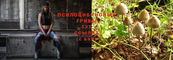 эйфоретик Вязьма