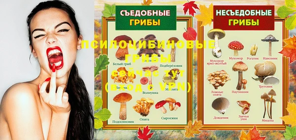 марки nbome Горняк