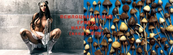 spice Вязники