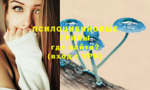 марки nbome Горняк
